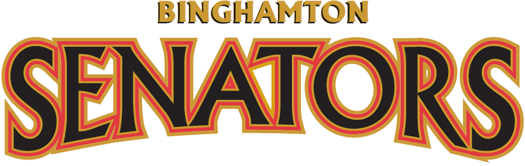 Binghamton Senators 2002 03-Pres Wordmark Logo iron on heat transfer